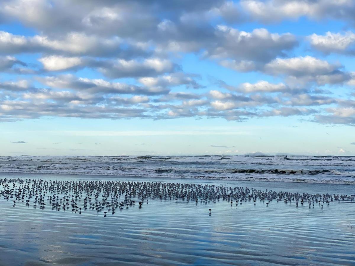 Tidal House #10 - Ocean Shores Chalet ภายนอก รูปภาพ